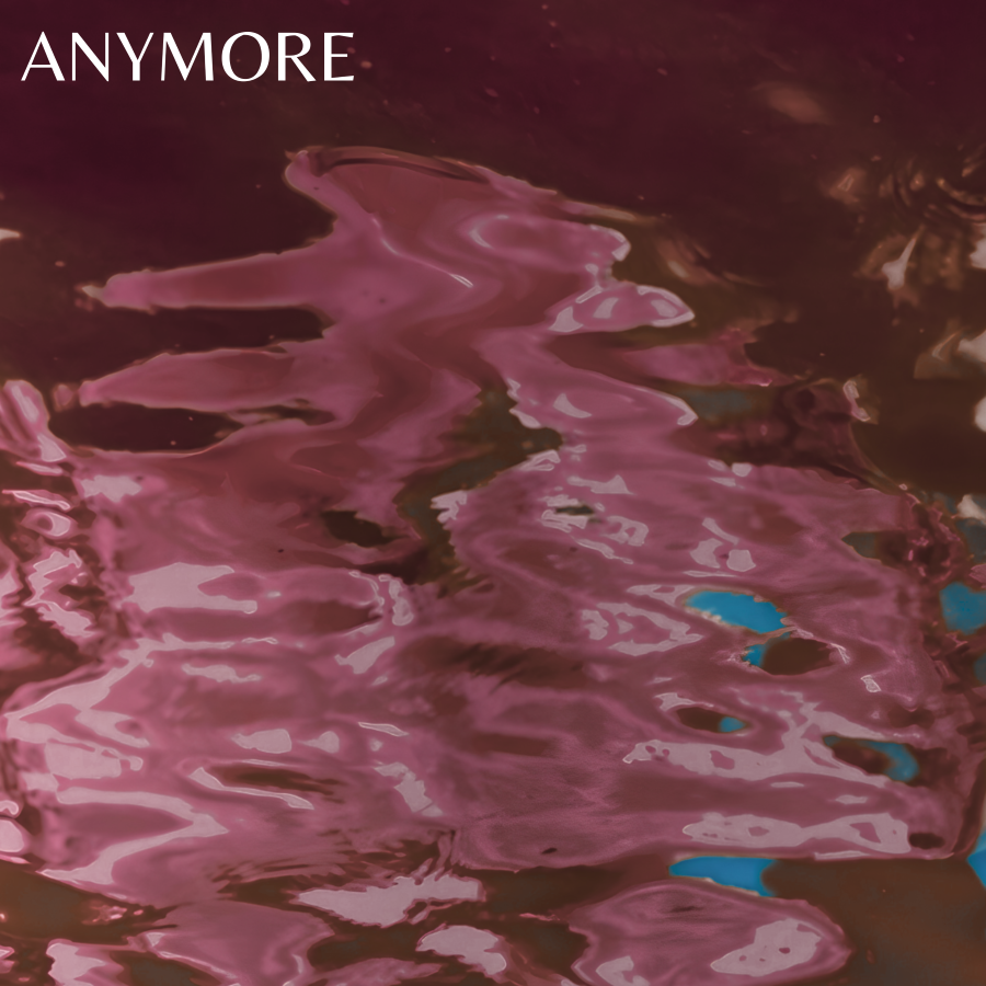 Jade Elephant, Anymore cover art