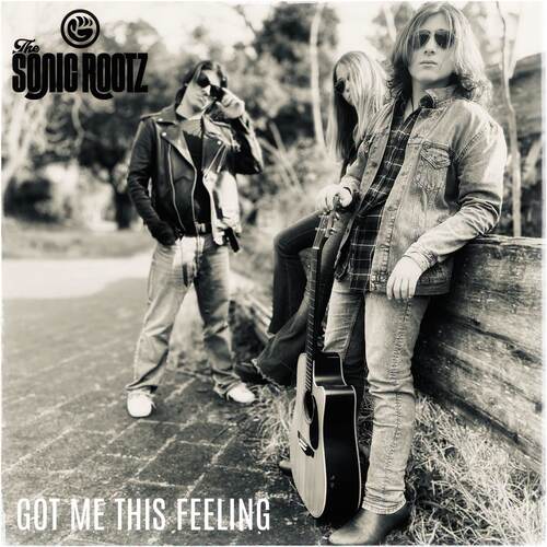 The Sonic Rootz Got Me This Feeling single cover